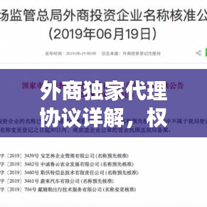 外商独家代理协议详解，权益保障与合同要点