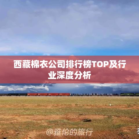 西藏棉衣公司排行榜TOP及行业深度分析