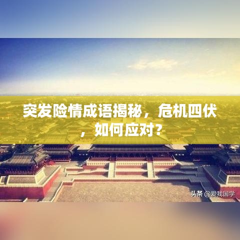 突发险情成语揭秘，危机四伏，如何应对？