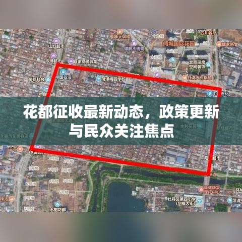 花都征收最新动态，政策更新与民众关注焦点