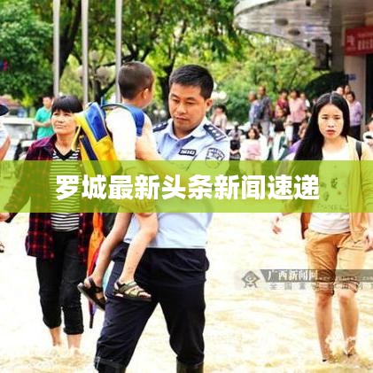 罗城最新头条新闻速递