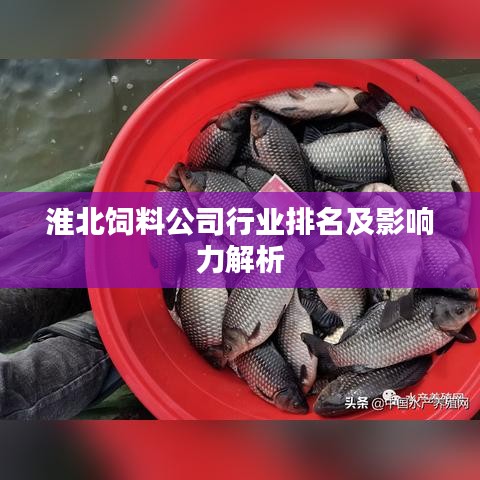 齿白唇红 第2页