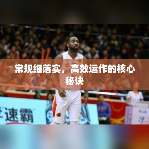 常规细落实，高效运作的核心秘诀