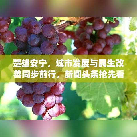楚雄安宁，城市发展与民生改善同步前行，新闻头条抢先看