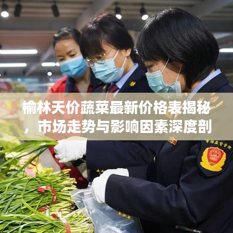 榆林天价蔬菜最新价格表揭秘，市场走势与影响因素深度剖析