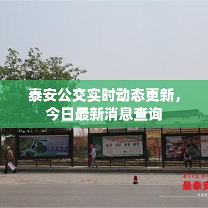 泰安公交实时动态更新，今日最新消息查询