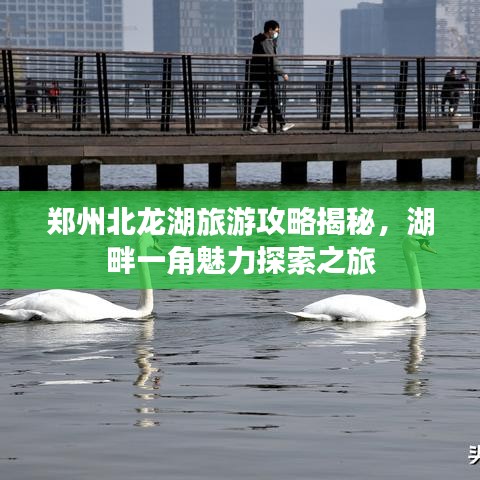 郑州北龙湖旅游攻略揭秘，湖畔一角魅力探索之旅