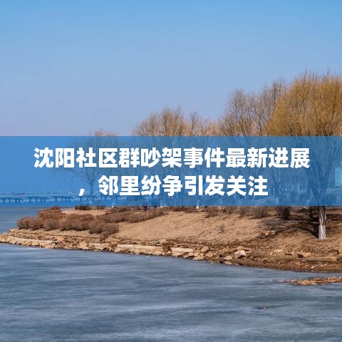 沈阳社区群吵架事件最新进展，邻里纷争引发关注