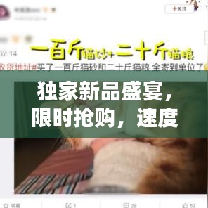 独家新品盛宴，限时抢购，速度与时尚的不容错失！