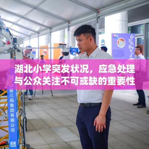 湖北小学突发状况，应急处理与公众关注不可或缺的重要性
