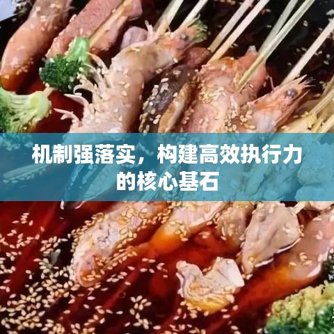 机制强落实，构建高效执行力的核心基石