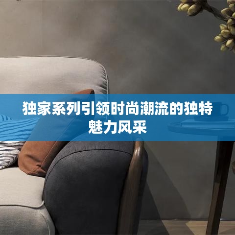 独家系列引领时尚潮流的独特魅力风采