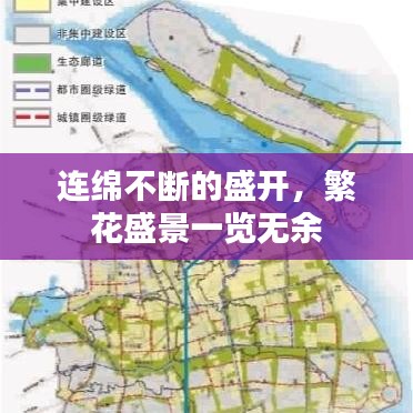连绵不断的盛开，繁花盛景一览无余