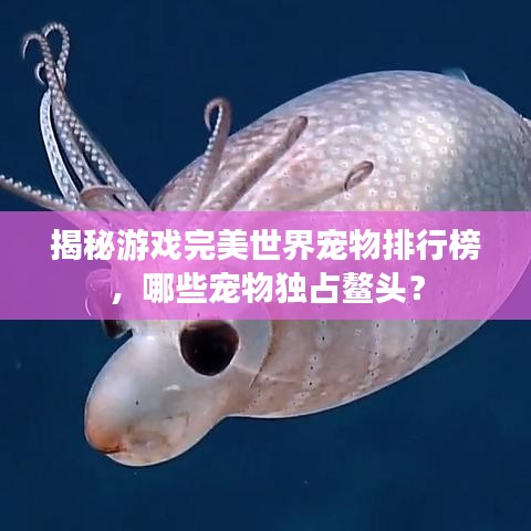 揭秘游戏完美世界宠物排行榜，哪些宠物独占鳌头？