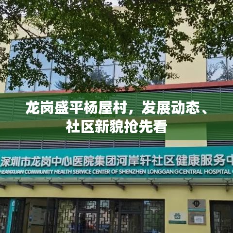 龙岗盛平杨屋村，发展动态、社区新貌抢先看