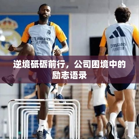 逆境砥砺前行，公司困境中的励志语录