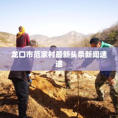 龙口市范家村最新头条新闻速递