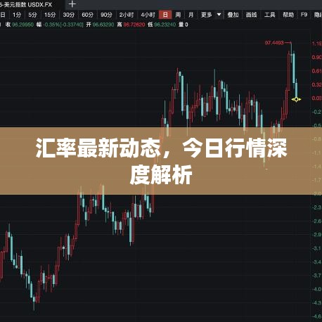 汇率最新动态，今日行情深度解析