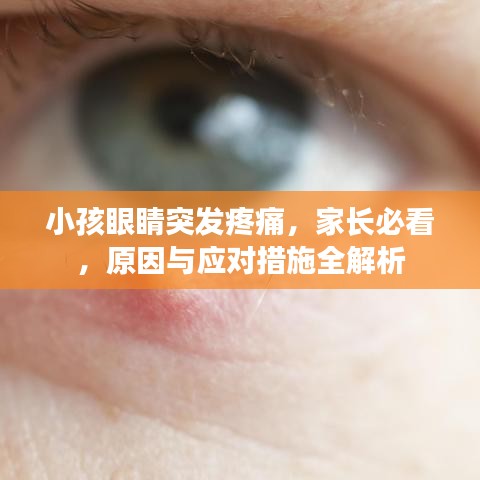 小孩眼睛突发疼痛，家长必看，原因与应对措施全解析