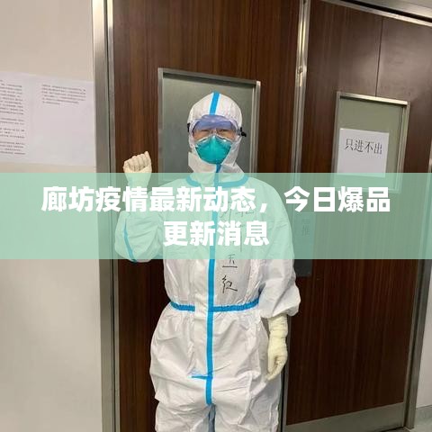 廊坊疫情最新动态，今日爆品更新消息