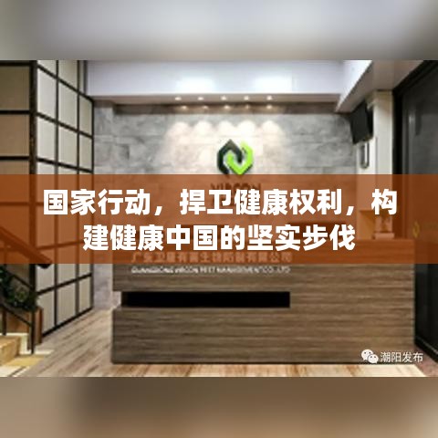 国家行动，捍卫健康权利，构建健康中国的坚实步伐