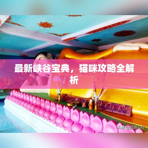 最新峡谷宝典，猫咪攻略全解析