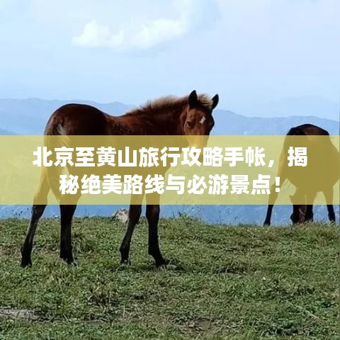 北京至黄山旅行攻略手帐，揭秘绝美路线与必游景点！