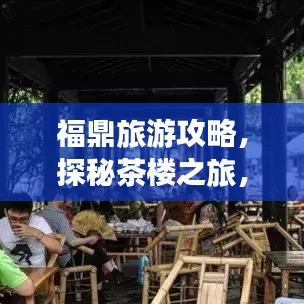 福鼎旅游攻略，探秘茶楼之旅，尽享独特风情！