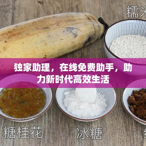 独家助理，在线免费助手，助力新时代高效生活