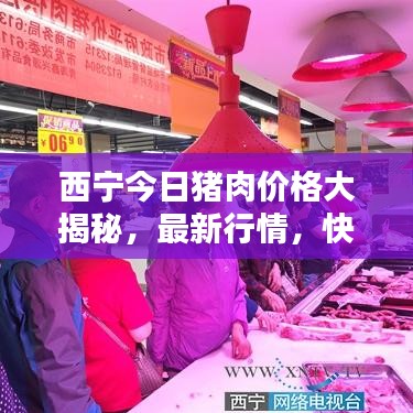 西宁今日猪肉价格大揭秘，最新行情，快速了解！