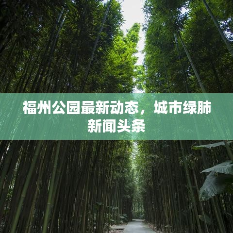 福州公园最新动态，城市绿肺新闻头条