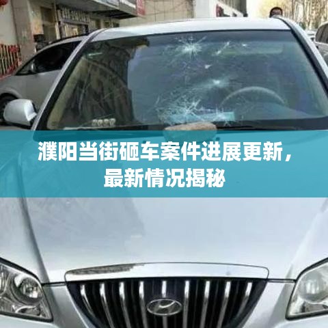 濮阳当街砸车案件进展更新，最新情况揭秘