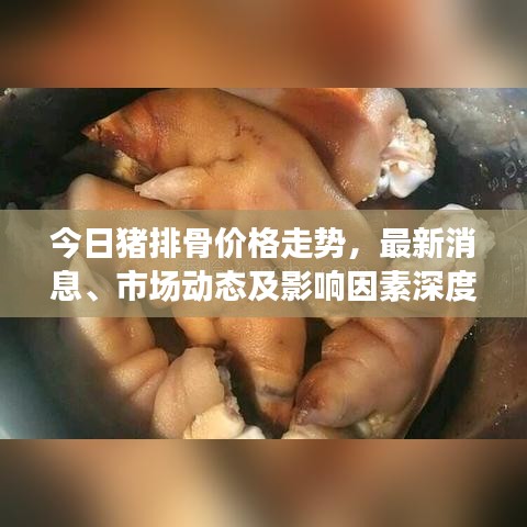 今日猪排骨价格走势，最新消息、市场动态及影响因素深度解析