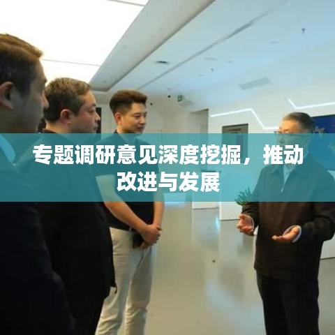 专题调研意见深度挖掘，推动改进与发展