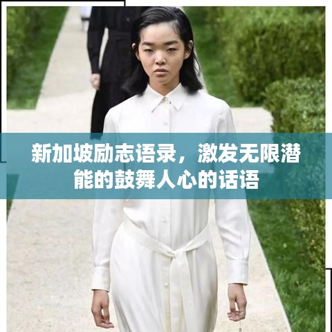 新加坡励志语录，激发无限潜能的鼓舞人心的话语