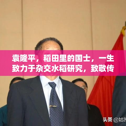 袁隆平，稻田里的国士，一生致力于杂交水稻研究，致敬传奇人物！