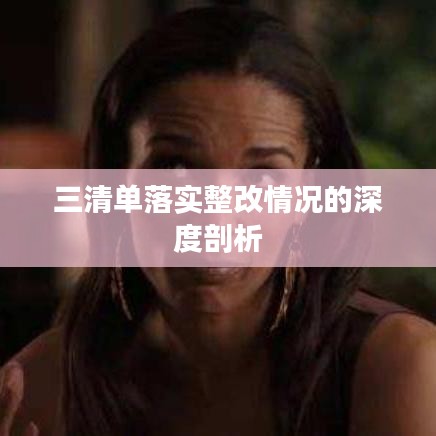 三清单落实整改情况的深度剖析