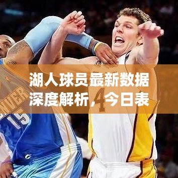 湖人球员最新数据深度解析，今日表现一览无余
