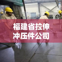 福建省拉伸冲压件公司排行榜及行业影响力解析