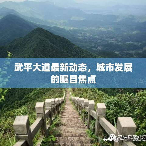 武平大道最新动态，城市发展的瞩目焦点