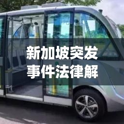 新加坡突发事件法律解析与探讨