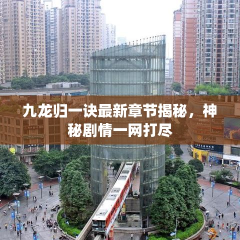 九龙归一诀最新章节揭秘，神秘剧情一网打尽