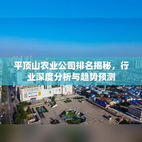 平顶山农业公司排名揭秘，行业深度分析与趋势预测