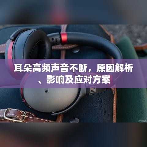 耳朵高频声音不断，原因解析、影响及应对方案