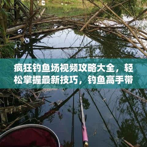 疯狂钓鱼场视频攻略大全，轻松掌握最新技巧，钓鱼高手带你飞！