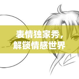 表情独家秀，解锁情感世界的新奥秘