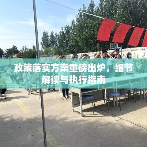 政策落实方案重磅出炉，细节解读与执行指南