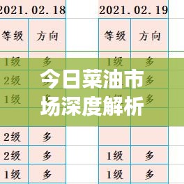 今日菜油市场深度解析，最新信息、动态、价格走势及影响因素全解析