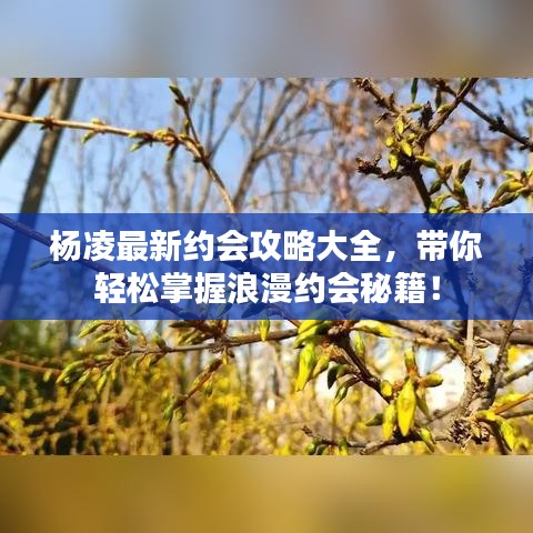 杨凌最新约会攻略大全，带你轻松掌握浪漫约会秘籍！