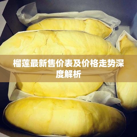 一丝不苟